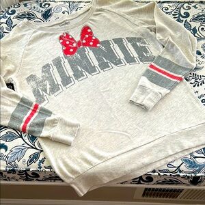 Disneyland Walt Disney World Gray Sweatshirt